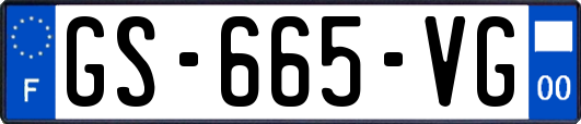 GS-665-VG