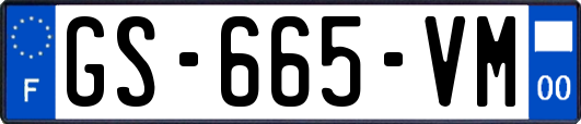 GS-665-VM