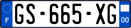 GS-665-XG