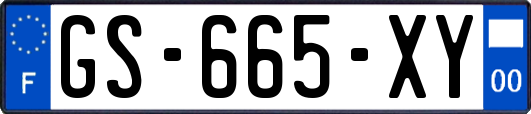 GS-665-XY