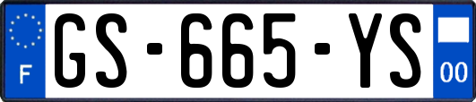 GS-665-YS
