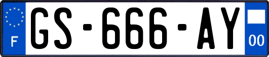 GS-666-AY