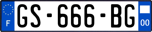 GS-666-BG