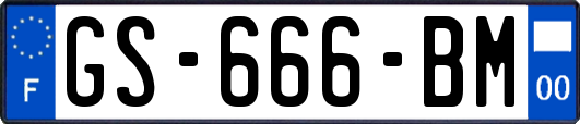 GS-666-BM