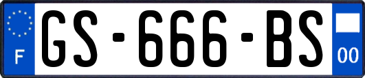 GS-666-BS