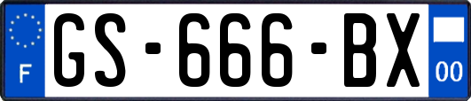 GS-666-BX