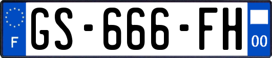 GS-666-FH