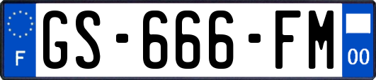GS-666-FM