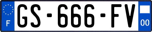 GS-666-FV