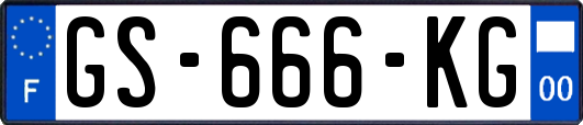 GS-666-KG