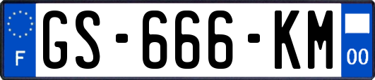 GS-666-KM
