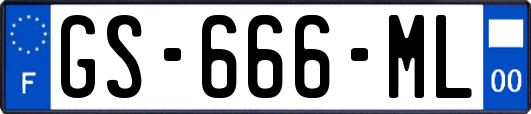 GS-666-ML