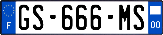 GS-666-MS