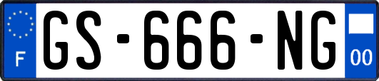 GS-666-NG