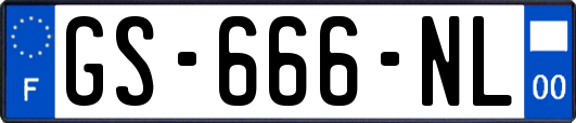 GS-666-NL