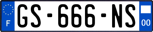 GS-666-NS