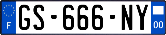 GS-666-NY