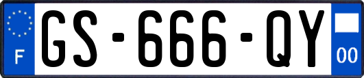 GS-666-QY