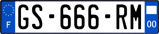 GS-666-RM