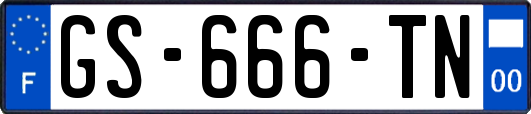 GS-666-TN