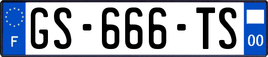 GS-666-TS