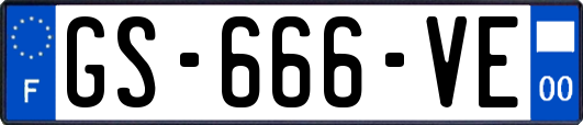 GS-666-VE