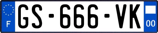 GS-666-VK