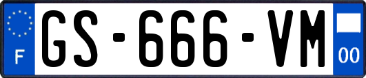 GS-666-VM