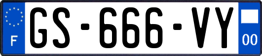 GS-666-VY