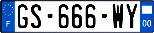 GS-666-WY