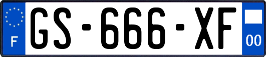 GS-666-XF
