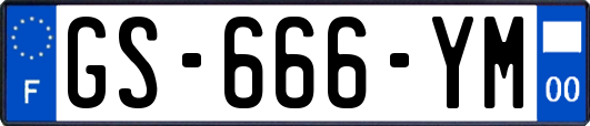 GS-666-YM