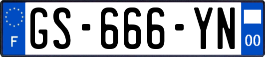 GS-666-YN