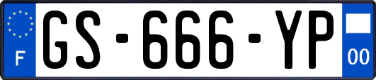 GS-666-YP
