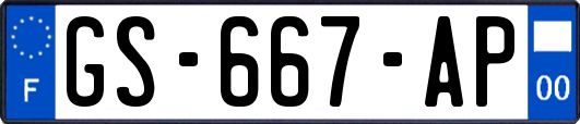 GS-667-AP