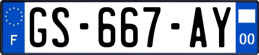 GS-667-AY