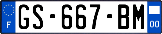 GS-667-BM