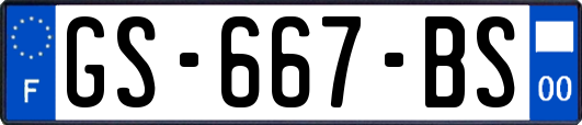 GS-667-BS