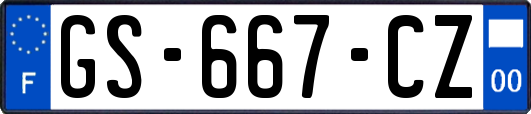 GS-667-CZ