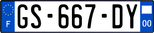 GS-667-DY