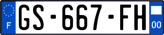 GS-667-FH