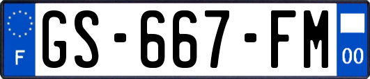 GS-667-FM
