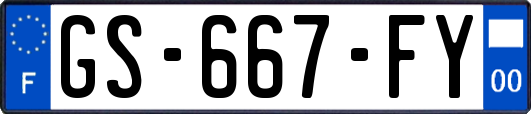 GS-667-FY