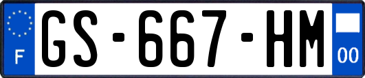 GS-667-HM