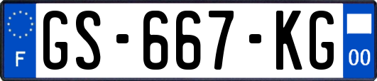 GS-667-KG