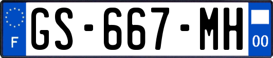 GS-667-MH