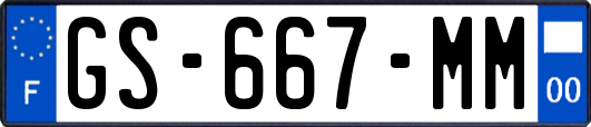 GS-667-MM