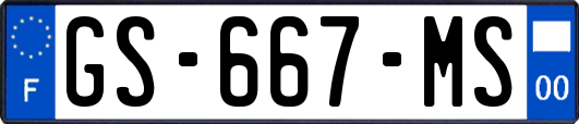 GS-667-MS