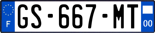 GS-667-MT