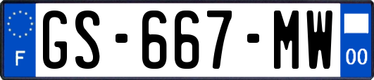 GS-667-MW